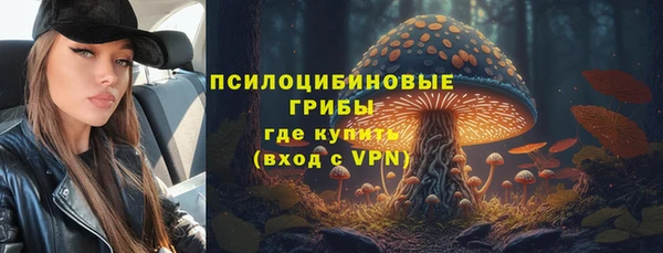 экстази Богородицк